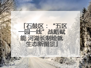 石鼓区：“五区一园一线”战略赋能 河湖长制绘就生态新图景