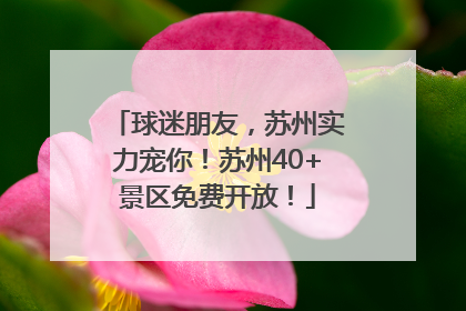 球迷朋友，苏州实力宠你！苏州40+景区免费开放！