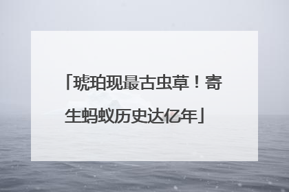 琥珀现最古虫草！寄生蚂蚁历史达亿年