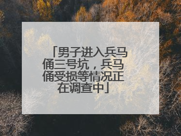 男子进入兵马俑三号坑，兵马俑受损等情况正在调查中