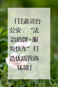 甘肃灵台公安：“法治盾牌+服务快车”打造优质营商环境