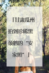 甘肃瓜州拍到珍稀黑颈鹤的“安家照”