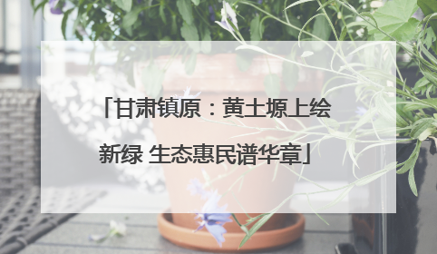 甘肃镇原：黄土塬上绘新绿 生态惠民谱华章