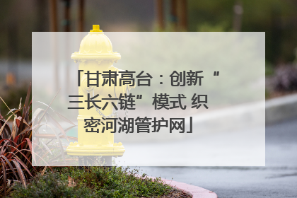 甘肃高台：创新“三长六链”模式 织密河湖管护网