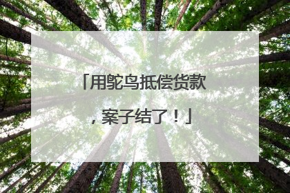 用鸵鸟抵偿货款，案子结了！