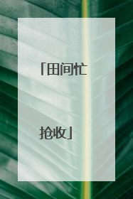 田间忙抢收
