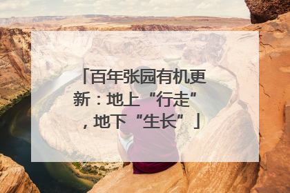 百年张园有机更新：地上“行走”，地下“生长”