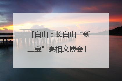 白山：长白山“新三宝”亮相文博会
