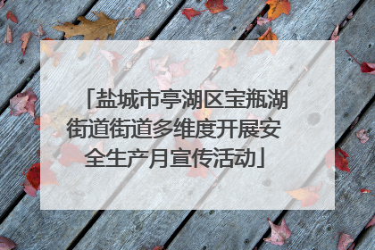 盐城市亭湖区宝瓶湖街道街道多维度开展安全生产月宣传活动