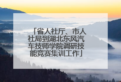 省人社厅、市人社局到湖北东风汽车技师学院调研技能竞赛集训工作