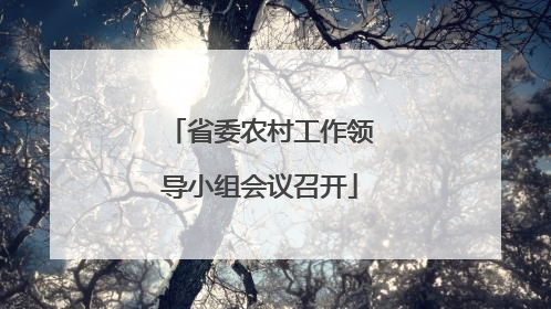 省委农村工作领导小组会议召开