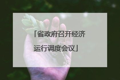省政府召开经济运行调度会议