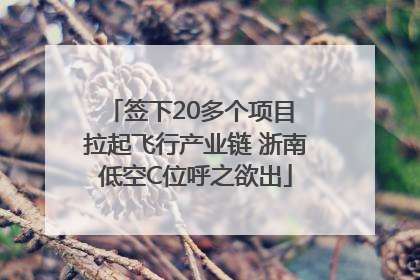 签下20多个项目 拉起飞行产业链 浙南低空C位呼之欲出