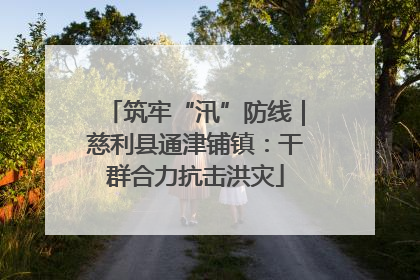 筑牢“汛”防线｜慈利县通津铺镇：干群合力抗击洪灾