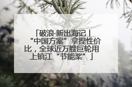 破浪·新出海记丨 “中国方案”拿捏性价比，全球近万艘巨轮用上镇江“节能桨”