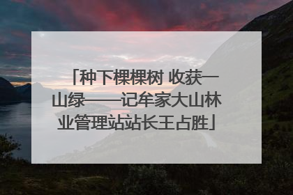 种下棵棵树 收获一山绿——记牟家大山林业管理站站长王占胜