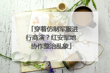 穿着仿制军服进行商演？红安军地协作整治乱象