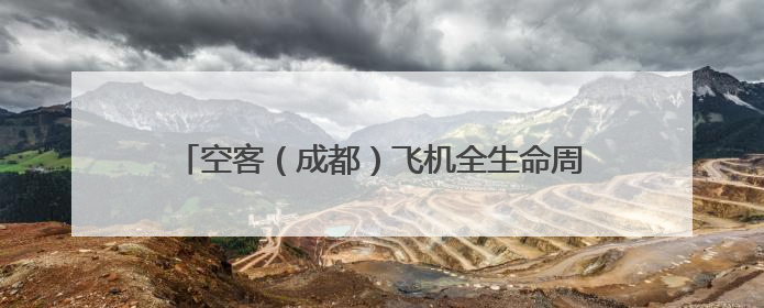 空客（成都）飞机全生命周期服务有限公司总经理布莱恩·阿格纽：成都航空产业生态完备，营商环境优势显著