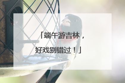 端午游吉林，好戏别错过！