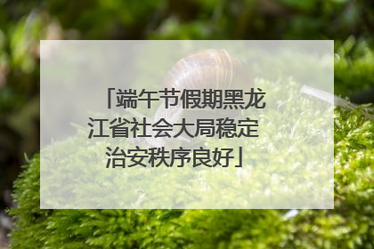 端午节假期黑龙江省社会大局稳定治安秩序良好