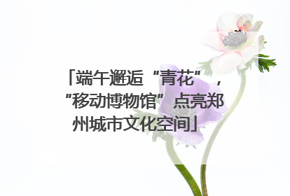 端午邂逅“青花”，“移动博物馆”点亮郑州城市文化空间