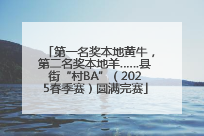 第一名奖本地黄牛，第二名奖本地羊……县街“村BA”（2025春季赛）圆满完赛