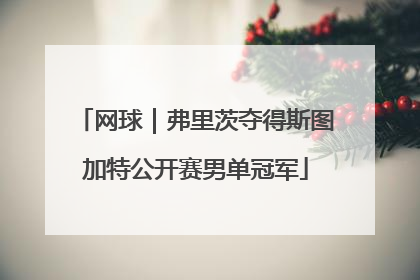 网球｜弗里茨夺得斯图加特公开赛男单冠军