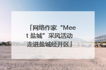 网络作家“Meet 盐城”采风活动走进盐城经开区