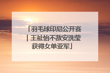 羽毛球印尼公开赛｜王祉怡不敌安洗莹 获得女单亚军