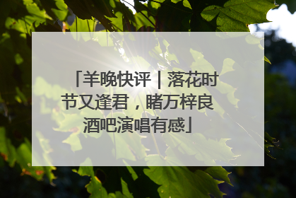 羊晚快评｜落花时节又逢君，睹万梓良酒吧演唱有感