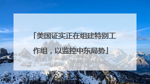 美国证实正在组建特别工作组，以监控中东局势
