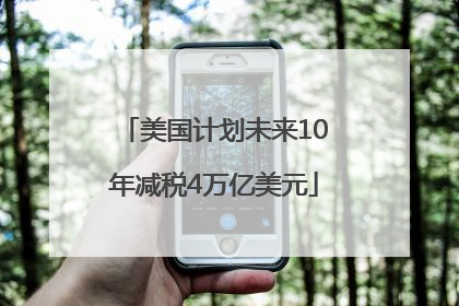 美国计划未来10年减税4万亿美元