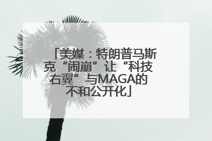 美媒：特朗普马斯克“闹崩”让“科技右翼”与MAGA的不和公开化