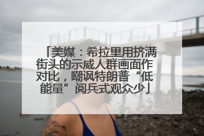 美媒：希拉里用挤满街头的示威人群画面作对比，嘲讽特朗普“低能量”阅兵式观众少