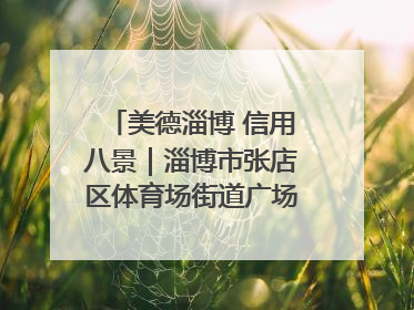 美德淄博 信用八景｜淄博市张店区体育场街道广场社区以诚信串起幸福脉络