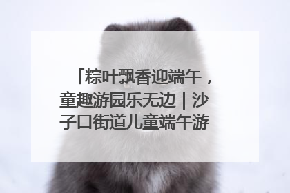 粽叶飘香迎端午，童趣游园乐无边｜沙子口街道儿童端午游园活动圆满落幕