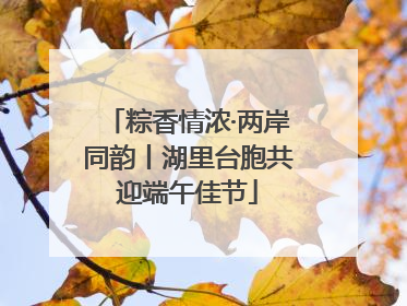粽香情浓·两岸同韵丨湖里台胞共迎端午佳节