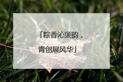 粽香沁廉韵，青创展风华