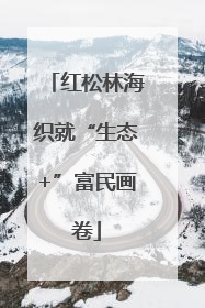 红松林海织就“生态+”富民画卷