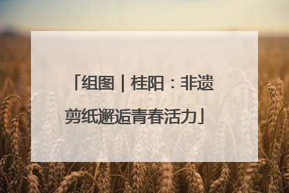 组图｜桂阳：非遗剪纸邂逅青春活力