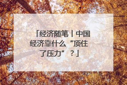 经济随笔丨中国经济靠什么“顶住了压力”？