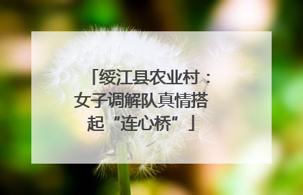 绥江县农业村：女子调解队真情搭起“连心桥”