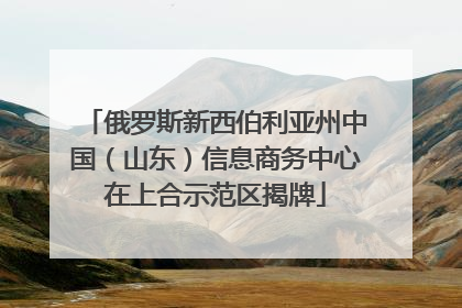 俄罗斯新西伯利亚州中国（山东）信息商务中心在上合示范区揭牌