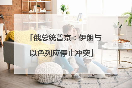 俄总统普京：伊朗与以色列应停止冲突