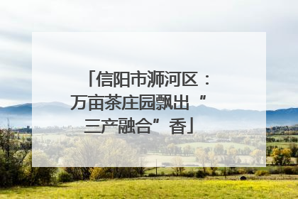 信阳市浉河区：万亩茶庄园飘出“三产融合”香