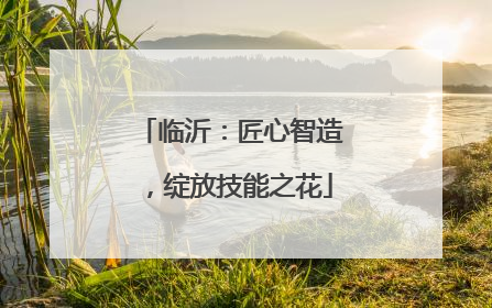 临沂：匠心智造，绽放技能之花