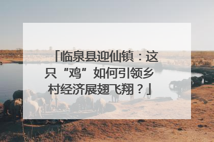 临泉县迎仙镇：这只“鸡”如何引领乡村经济展翅飞翔？