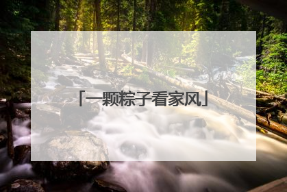 一颗粽子看家风