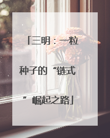 三明：一粒种子的“链式”崛起之路