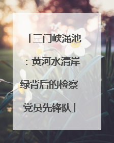 三门峡渑池：黄河水清岸绿背后的检察党员先锋队